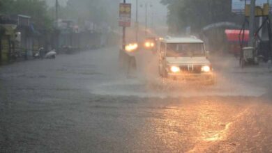 MP Weather: भोपाल-जबलपुर समेत कई जिलों में भारी बारिश का अलर्ट, IMD ने जारी की चेतावनी