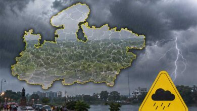 MP में फिर बिगड़ा मौसम, सभी जिलों में बारिश का येलो अलर्ट; IMD की चेतावनी