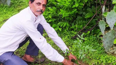 शहडोल संभागीय अध्यक्ष प्रकाश सोनी ने लगाए नीम के पौधे