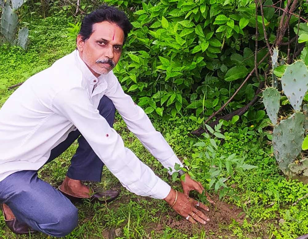 शहडोल संभागीय अध्यक्ष प्रकाश सोनी ने लगाए नीम के पौधे शहडोल संभागीय अध्यक्ष प्रकाश सोनी ने लगाए नीम के पौधे