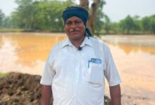नैनो यूरिया से बदली सब्जी की खेती की तस्वीर, किसान सम्मेलाल बने आत्मनिर्भरता की मिसाल