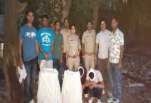 मध्यप्रदेश पुलिस की अवैध मादक पदार्थों के विरूद्ध प्रभावी कार्यवाही