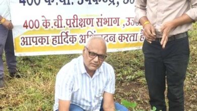 विश्व प्रकृति संरक्षण दिवस पर एमपी ट्रांसको के सब-स्टेशन में हुआ सामूहिक पौध-रोपण