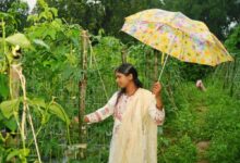 ड्रिप विधि से सब्जी की खेती ने बनाया ‘लखपति दीदी’, सालाना डेढ़ लाख की कमाई