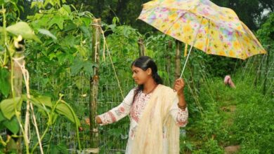 ड्रिप विधि से सब्जी की खेती ने बनाया ‘लखपति दीदी’, सालाना डेढ़ लाख की कमाई