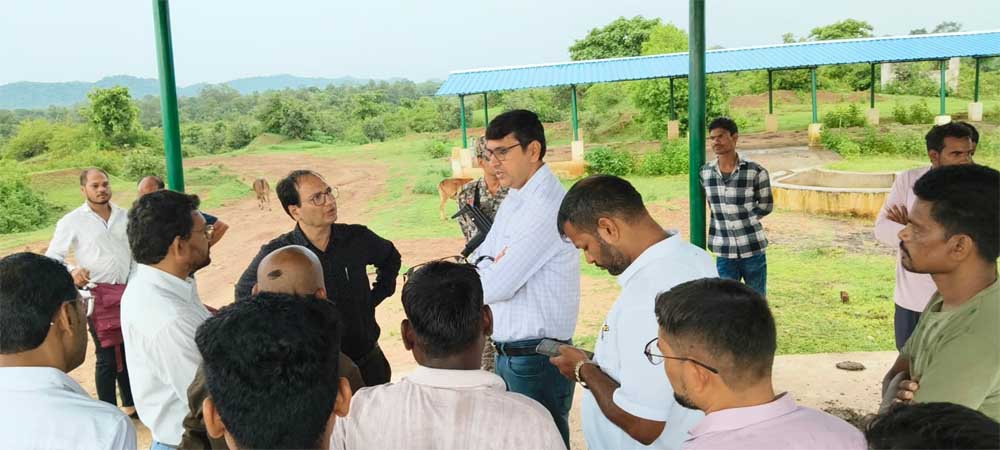 कलेक्टर ने निर्माणाधीन गौ अभ्यारण्य का किया निरीक्षण कलेक्टर ने निर्माणाधीन गौ अभ्यारण्य का किया निरीक्षण