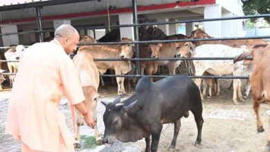 सीएम योगी की गोसंरक्षण नीति का असर : करोड़ों कमा रहे युवा, बढ़ रहा रोजगार