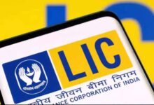 LIC के बाद अब इन कंपनियों पर सरकार की नजर, हिस्सेदारी बिक्री से मिल सकता है कमाई का मौका