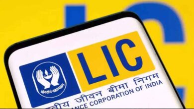 LIC के बाद अब इन कंपनियों पर सरकार की नजर, हिस्सेदारी बिक्री से मिल सकता है कमाई का मौका