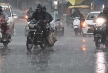 MP में दो मानसूनी सिस्टम एक्टिव, भोपाल से रीवा तक झमाझम बारिश का अलर्ट