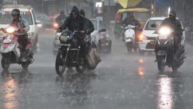 MP में दो मानसूनी सिस्टम एक्टिव, भोपाल से रीवा तक झमाझम बारिश का अलर्ट