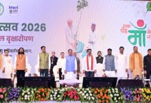 मुख्यमंत्री   विष्णुदेव साय ने अपनी माँ के नाम पर लगाया पीपल का पौधा, वन महोत्सव-2026 का हुआ शुभारंभ