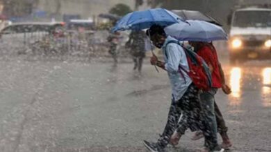 यूपी में तीन दिन झमाझम बारिश के आसार, मौसम विभाग ने यलो अलर्ट जारी