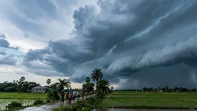 यूपी में फिर एक्टिव हुआ मानसून, 14 जिलों में भारी बारिश और वज्रपात का ऑरेंज अलर्ट