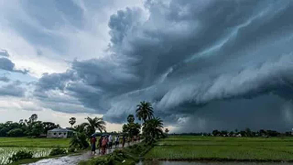 यूपी में फिर एक्टिव हुआ मानसून, 14 जिलों में भारी बारिश और वज्रपात का ऑरेंज अलर्ट यूपी में फिर एक्टिव हुआ मानसून, 14 जिलों में भारी बारिश और वज्रपात का ऑरेंज अलर्ट
