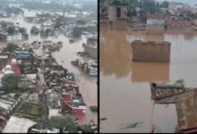 सतना-चित्रकूट में बाढ़ का कहर, मंदाकिनी में बहा 42 साल पुराना पुल; 400 दुकानें तबाह