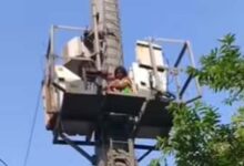 लखनऊ में CM आवास के पास टावर पर चढ़ी आगरा की महिला, पुलिस ने सुरक्षित उतारा