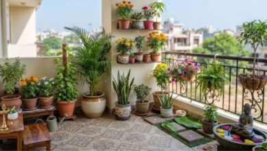 बालकनी में ये 5 पौधे लगाएं, वास्तु के अनुसार घर में आएगी सुख-समृद्धि