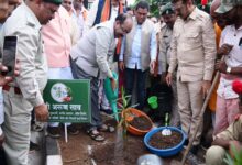 मां के सम्मान में लगाया गया प्रत्येक पौधा प्रकृति संरक्षण के संकल्प का प्रतीक – अरुण साव