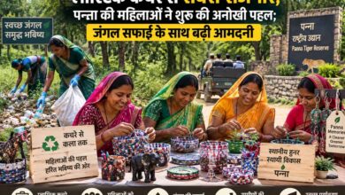 पन्ना में प्लास्टिक कचरे का अनोखा समाधान, महिलाओं ने शुरू किया रोजगार; पर्यटकों के लिए बना रहीं यादगार सामान
