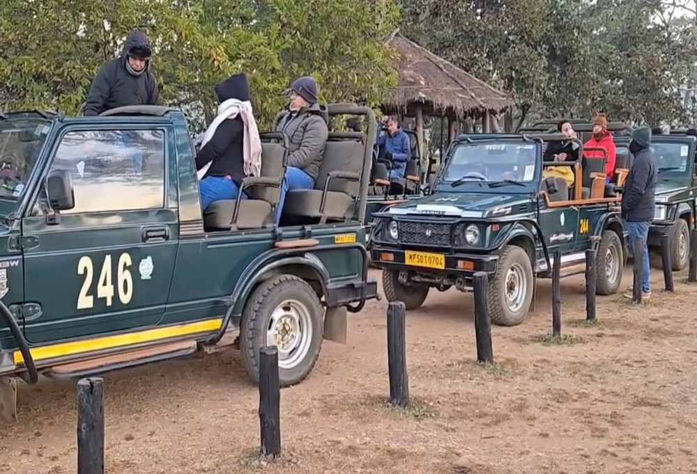 कान्हा टाइगर रिजर्व में जंगल सफारी के लिए HSRP नंबर प्लेट अनिवार्य, वाहन रजिस्ट्रेशन के बाद ही मिलेगी एंट्री