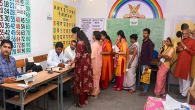 2029 लोकसभा चुनाव में बढ़ेंगे मतदान केंद्र, 46% ज्यादा होंगे पोलिंग स्टेशन; RTI से खुलासा