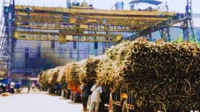 गन्ना किसानों को 102 चीनी मिलों ने किया शत-प्रतिशत भुगतान