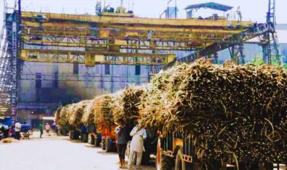 गन्ना किसानों को 102 चीनी मिलों ने किया शत-प्रतिशत भुगतान