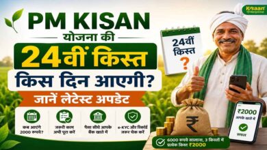PM Kisan 24वीं किस्त से पहले कर लें ये 3 काम, तभी खाते में आएंगे ₹2,000 PM Kisan 24वीं किस्त से पहले कर लें ये 3 काम, तभी खाते में आएंगे ₹2,000