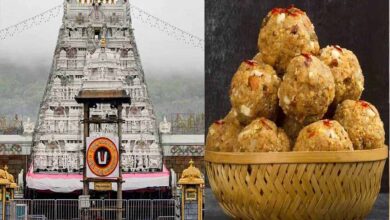 तिरुपति लड्डू के घी में कथित मिलावट, पाम ऑयल इस्तेमाल होने का आरोप