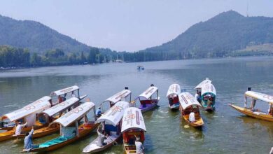 आर्टिकल 370 हटने के बाद कश्मीर में बदली तस्वीर, लोकल आतंकियों के आंकड़ों में गिरावट