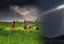 सितंबर में भी सुस्त रहेगा मॉनसून! अगस्त की गर्मी ने तोड़ा 125 साल का रिकॉर्ड, अल नीनो का असर