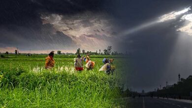सितंबर में भी सुस्त रहेगा मॉनसून! अगस्त की गर्मी ने तोड़ा 125 साल का रिकॉर्ड, अल नीनो का असर