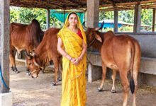 स्व सहायता समूह से जुड़कर आत्मनिर्भर बनीं मीना दीदी
