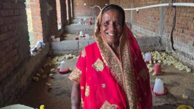 सेवा की कहानी : बिहान से ग्रामीण महिलाओं के जीवन में आई आत्मनिर्भरता की नई सुबह