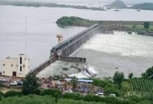 MP में 24 सितंबर से बारिश का आखिरी दौर, 20 जिले अब भी प्यासे