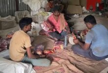 भोपाल की गुटखा फैक्ट्री पर GST छापा, 60 करोड़ की टैक्स चोरी का खुलासा