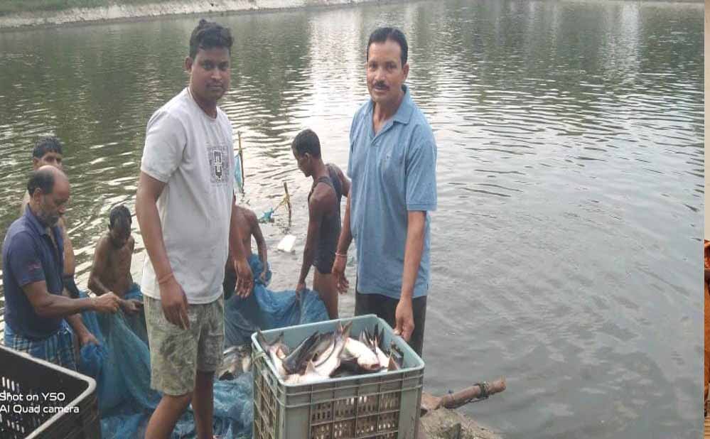 0.40 हेक्टेयर में गुलाब पटेल ने लिखा मछली पालन से समृद्धि का नया अध्याय 0.40 हेक्टेयर में गुलाब पटेल ने लिखा मछली पालन से समृद्धि का नया अध्याय
