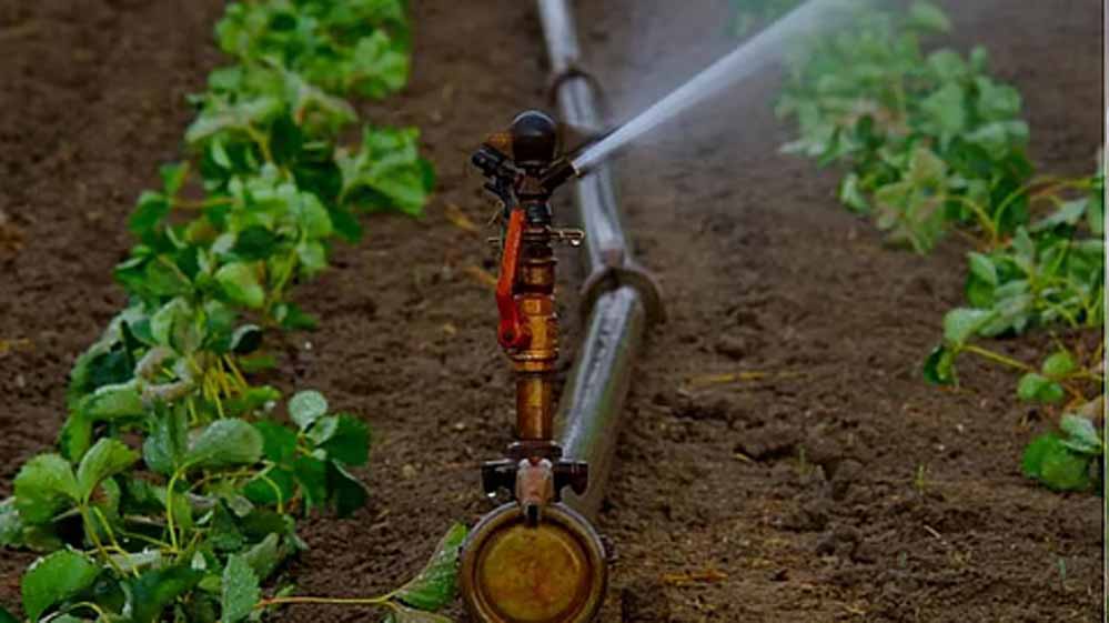 यूपीआईटीएस-26 में दिखेगी यूपी की स्मार्ट सिंचाई व्यवस्था, तकनीक से जल प्रबंधन और बाढ़ नियंत्रण का बना यूपी मॉडल यूपीआईटीएस-26 में दिखेगी यूपी की स्मार्ट सिंचाई व्यवस्था, तकनीक से जल प्रबंधन और बाढ़ नियंत्रण का बना यूपी मॉडल