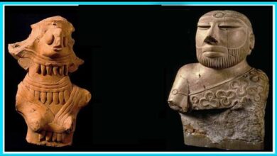 इंदौर में दिखेगा सिंध का 1800 साल पुराना इतिहास, दुर्लभ सिक्के होंगे खास आकर्षण इंदौर में दिखेगा सिंध का 1800 साल पुराना इतिहास, दुर्लभ सिक्के होंगे खास आकर्षण