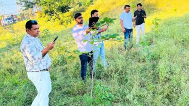 महिलाओं ने संवारा हरित अभियान, 2170 पौधों की अब जियो ट्रैकिंग से होगी निगरानी