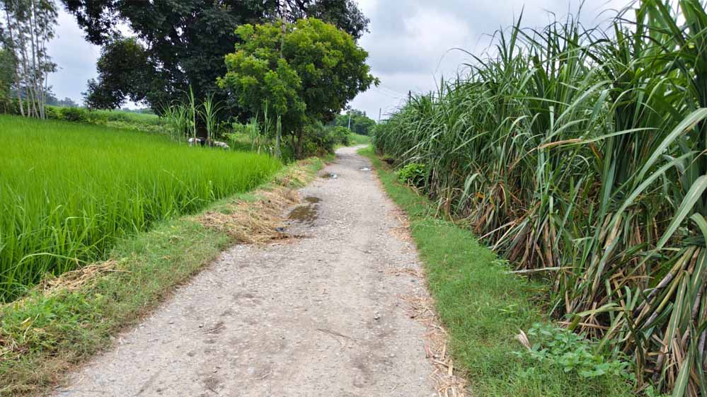 गन्ने से बासमती तक, खेती की चुनौतियों पर मेरठ में हुआ मंथन