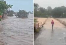 उमरिया-शहडोल में भारी बारिश का कहर, डिंडौरी में बाढ़ जैसे हालात; कई जगह अलर्ट