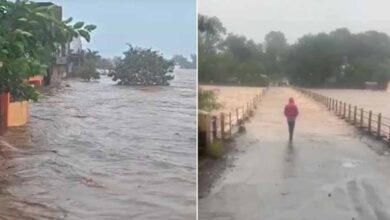 उमरिया-शहडोल में भारी बारिश का कहर, डिंडौरी में बाढ़ जैसे हालात; कई जगह अलर्ट