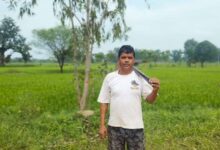 पीएम किसान सम्मान निधि से खेती को मिला सहारा, किसान दशरथ राठौर हुए आत्मनिर्भर