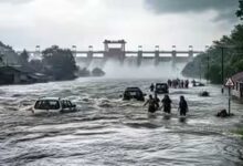 MP Weather: मानसून ने मचाई आफत, नर्मदापुरम-छिंदवाड़ा में रेड अलर्ट; बरगी डैम के गेट खुले