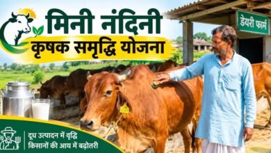 गोरखपुर में मिनी नंदिनी योजना का बढ़ा दायरा, 20 नए लाभार्थी जुड़े; संख्या 26 हुई