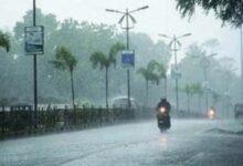मध्य प्रदेश में मानसून अभी सक्रिय: विंध्य, बुंदेलखंड और महाकौशल में बारिश की चेतावनी।