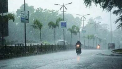 मध्य प्रदेश में मानसून अभी सक्रिय: विंध्य, बुंदेलखंड और महाकौशल में बारिश की चेतावनी।