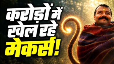 ₹1.5 करोड़ की फिल्म ने कमाए ₹366 करोड़, प्रोड्यूसर को मिल सकते हैं ₹50 करोड़! ₹1.5 करोड़ की फिल्म ने कमाए ₹366 करोड़, प्रोड्यूसर को मिल सकते हैं ₹50 करोड़!